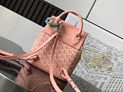 GOYARD | Alpin Backpack Coated Canvas Pink - 5