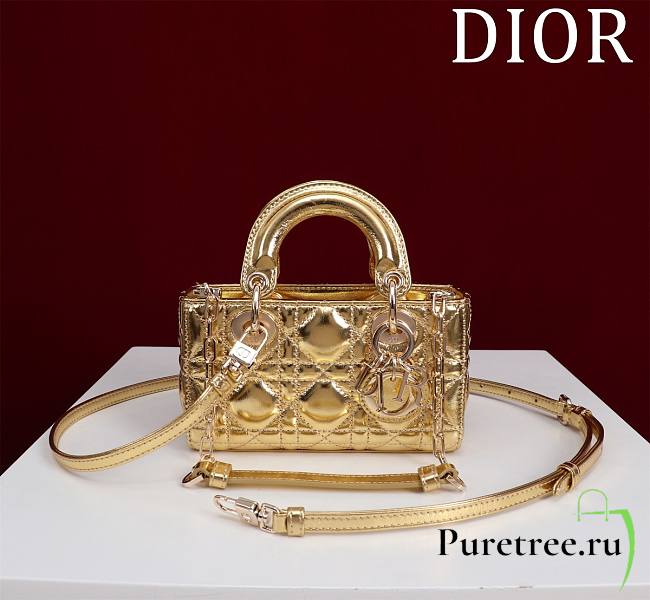 DIOR | Lady d-joy-micro Leather with Velvet shiny gold - 1