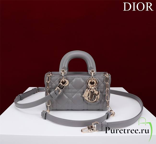 DIOR | Lady d-joy-micro Leather with Velvet gray - 1