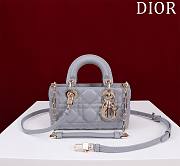 DIOR | Lady d-joy-micro Leather with Velvet light purble - 1