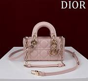 DIOR | Lady d-joy-micro Leather with Velvet light pink - 1