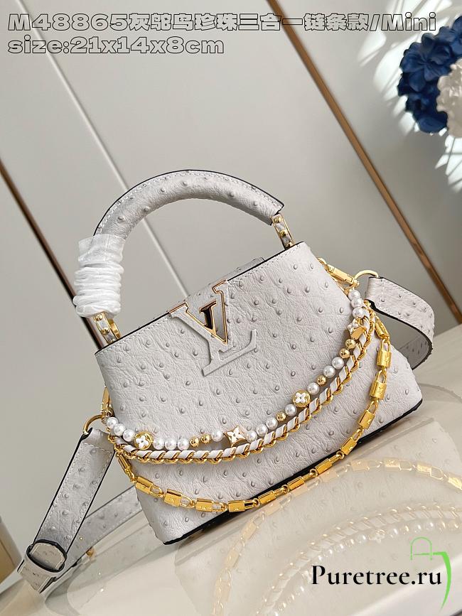 LOUIS VUITTON | Capucines mini Trilogy Taurillon In White - 1