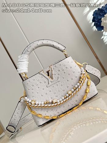 LOUIS VUITTON | Capucines mini Trilogy Taurillon In White