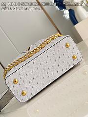 LOUIS VUITTON | Capucines mini Trilogy Taurillon In White - 2