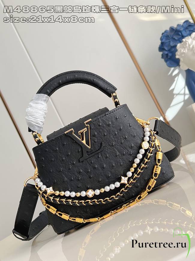 LOUIS VUITTON | Capucines mini Trilogy Taurillon In Black - 1