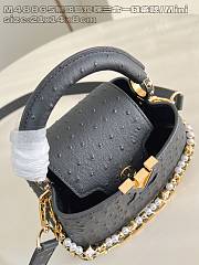 LOUIS VUITTON | Capucines mini Trilogy Taurillon In Black - 4