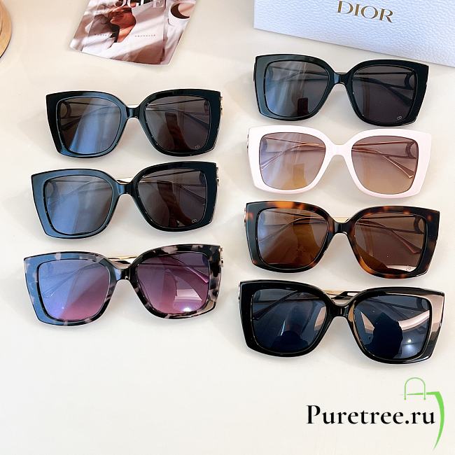 DIOR | Sunglasses 30Montaigne S13F - 1