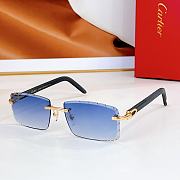 CARTIER | Sunglasses TF5961T - 5