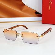 CARTIER | Sunglasses TF5961T - 3