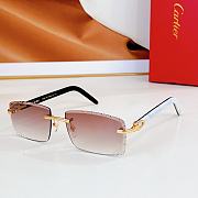 CARTIER | Sunglasses TF5961T - 2