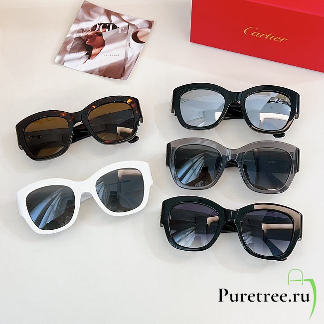 CARTIER | Sunglasses ESW00568  - 1