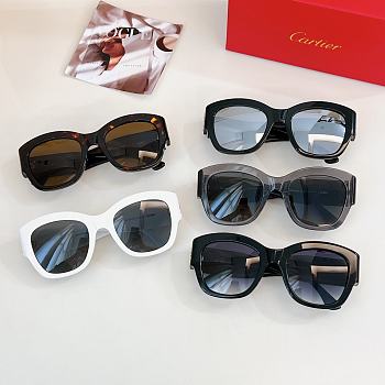 CARTIER | Sunglasses ESW00568 