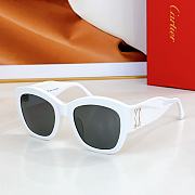 CARTIER | Sunglasses ESW00568  - 5