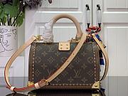 LOUIS VUITTON | Speedy Trunk 20 Monogram Iconic M11154 - 4