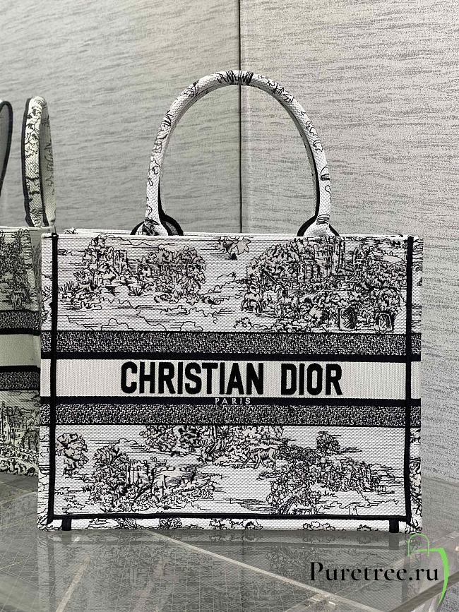 DIOR | Medium Book Tote Around the world - 1