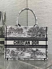 DIOR | Medium Book Tote Around the world - 1