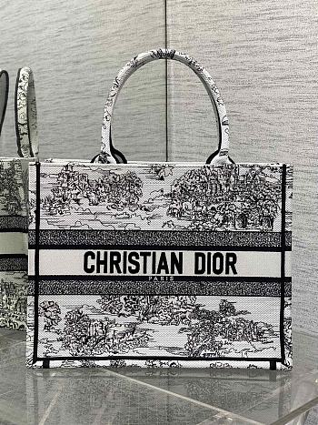 DIOR | Medium Book Tote Around the world