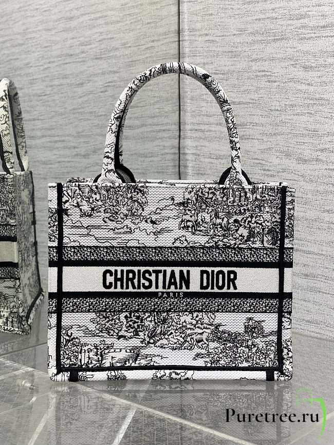 DIOR | Small Book Tote Around the world - 1