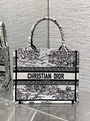 DIOR | Small Book Tote Around the world - 1