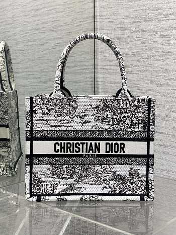 DIOR | Small Book Tote Around the world