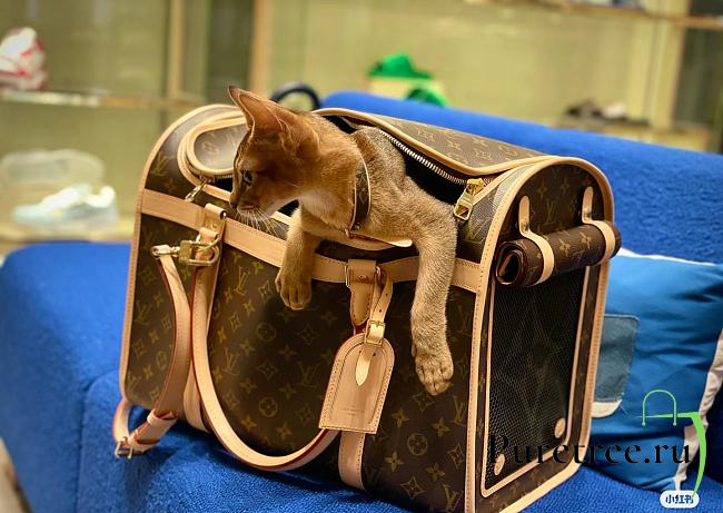 LOUIS VUITTON | Dog Bag Monogram coated canvas M45662 - 1