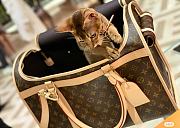 LOUIS VUITTON | Dog Bag Monogram coated canvas M45662 - 2