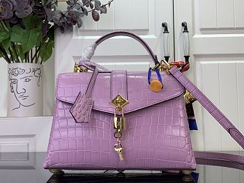 LOUIS VUITTON | Des Vent In Rose N84713