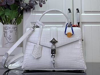 LOUIS VUITTON | Des Vent In White N84713