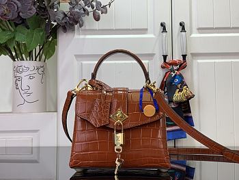 LOUIS VUITTON | Des Vents Mini In Brown N84713