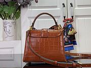 LOUIS VUITTON | Des Vents Mini In Brown N84713 - 6