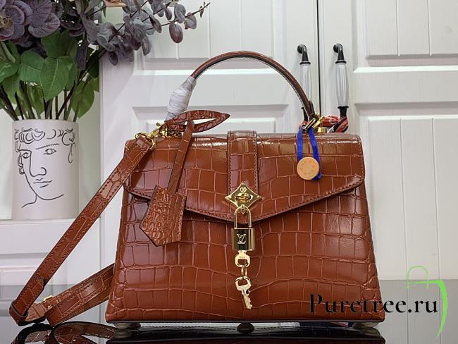 LOUIS VUITTON | Des Vent In Brown N84713 - 1