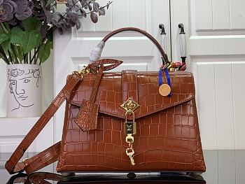 LOUIS VUITTON | Des Vent In Brown N84713