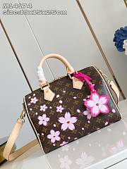 LVxTM Speedy Bandoulière 25 Chery Blossom M14174 - 1
