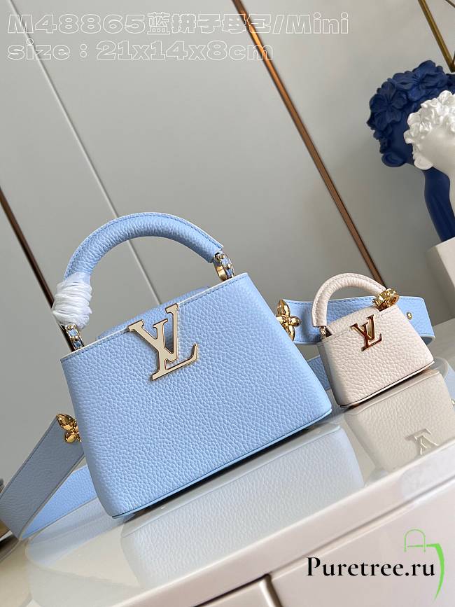Louis Vuitton | Capucines Mini Taurillon Leather In Blue M48865 - 1