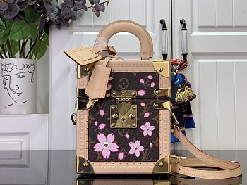 LOUIS VUITTON | The Camera Box Sakura Brown 