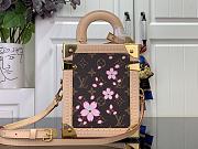 LOUIS VUITTON | The Camera Box Sakura Brown  - 6