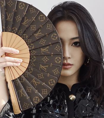 LOUIS VUITTON | Fan Monogram In Brown