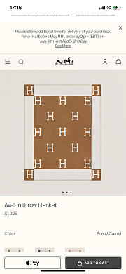 HERMES Blanket 04 - 5