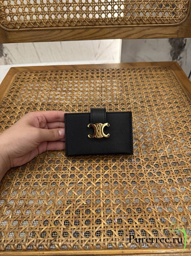 CELINE | Triomphe Accordeon Wallet In Black - 1