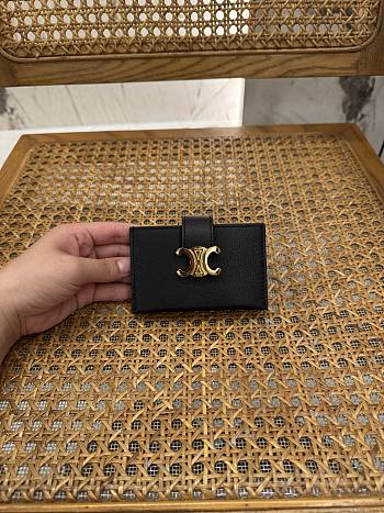 CELINE | Triomphe Accordeon Wallet In Black
