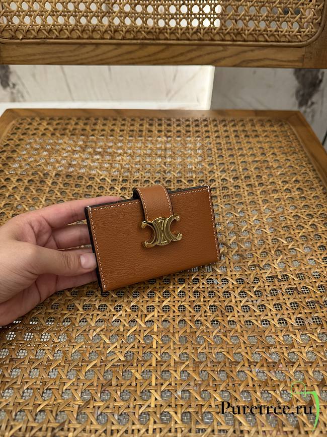 CELINE | Triomphe Accordeon Wallet In Brown  - 1