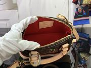 LOUIS VUITTON | Alma LV x TM Nano Bag Material Monogram Canvas - 5