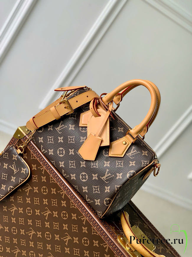 LOUIS VUITTON | Speedy Bandoulière 25 Monogram pattern M24443 - 1