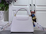 LOUIS VUITTON | LV x TM Capucines Mini 21x14x8 cm - 4