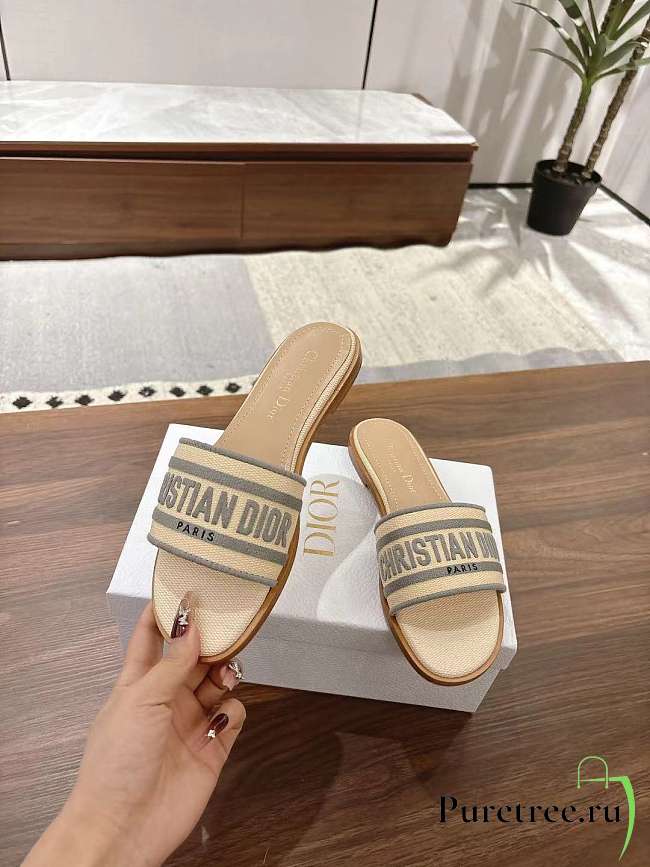 DIOR | Dway Slide Aquamarina In Gray - 1