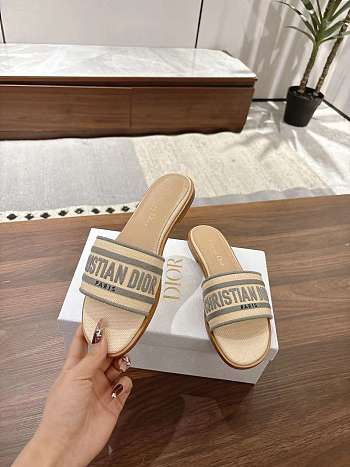 DIOR | Dway Slide Aquamarina In Gray