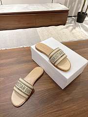 DIOR | Dway Slide Aquamarina In Gray - 6