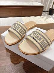 DIOR | Dway Slide Aquamarina In Gray - 4