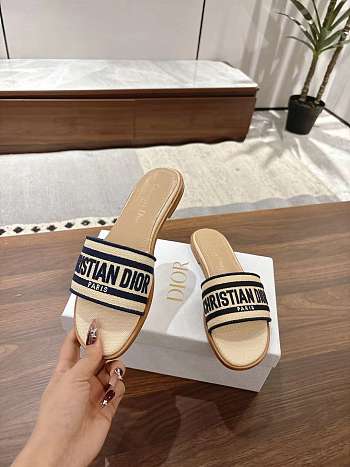 DIOR | Dway Slide Aquamarina In Navy Blue