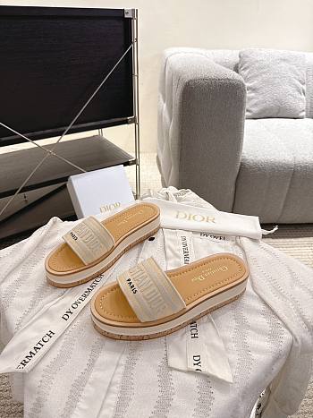 DIOR | Dway Slide Aquamarina 4.5 cm In Gray